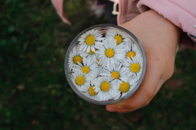 Madelief en Ego&nbsp;ongerief