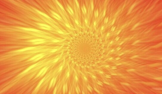 Jacobskruiskruid… een killer naar&nbsp;verluid?!?