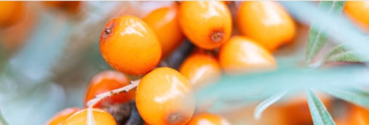 Natuurlijk door de Overgang, en… het aarden van de intieme relatie met mijn veranderde/veranderende Vrouw-Zijn