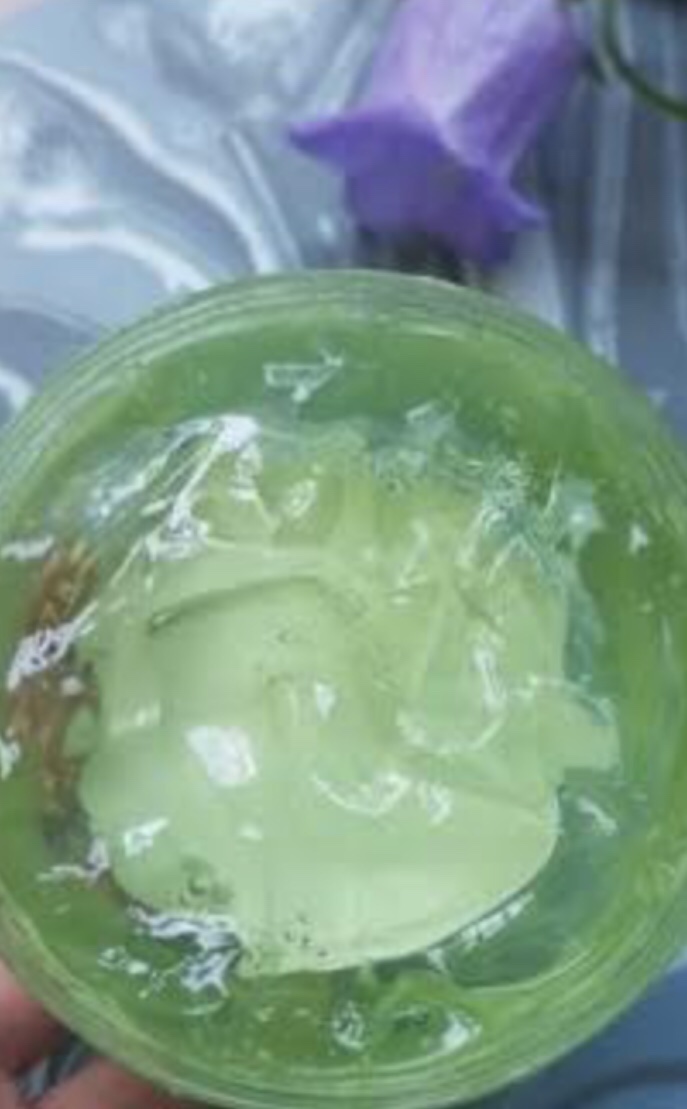 Aloë Vera en Eucalyptus… en hun relatie tot: Zonneflits & Bewustzijns-shifts…