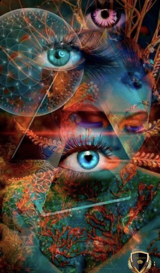 Niets is wat het&nbsp;lijkt…